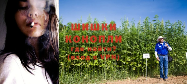 каннабис Алексин