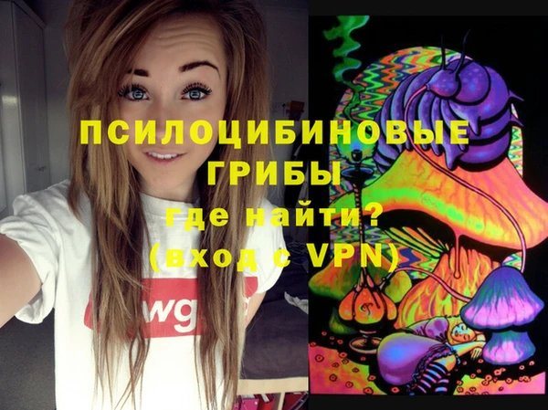 синтетический гашиш Алексеевка